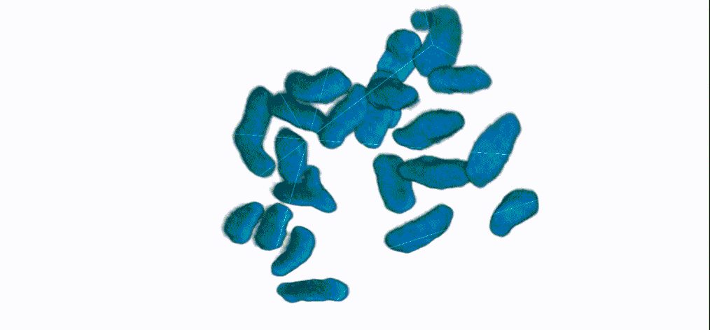 HELP: Comptage de chromosome